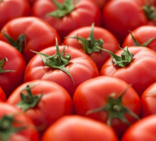 Paradicsomok